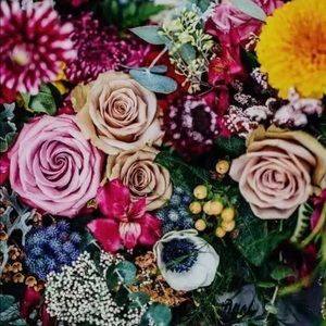 Meet your Posher, Kani